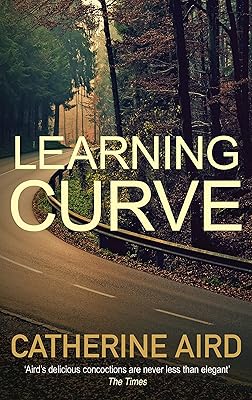 Learning Curve