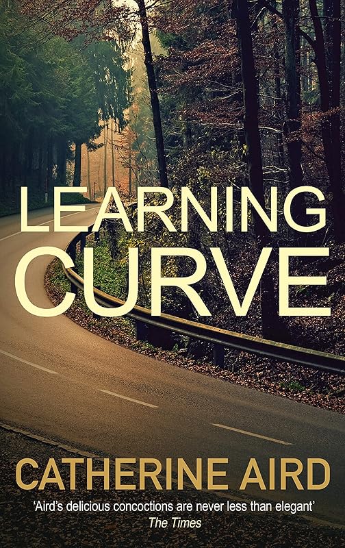 Learning Curve by Catherine Aird