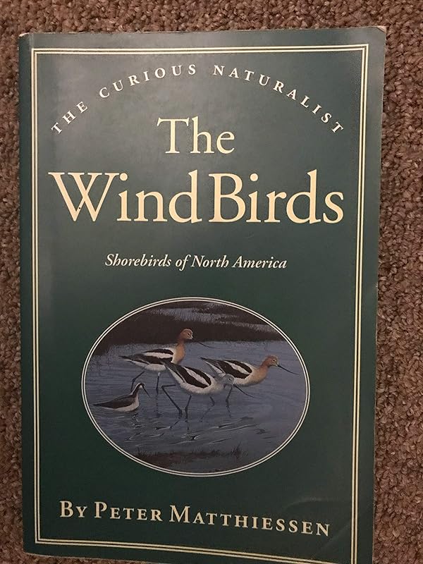 The Wind Birds: Shorebirds of North America (The Curious Naturalist) by Peter Matthiessen
