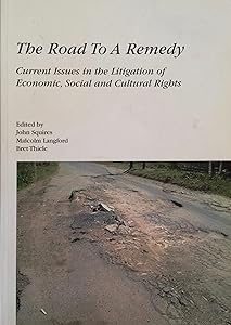 The Road to a Remedy : Current Issues in the Litigation of Economic, Social, and Cultural Rights
