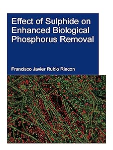 Effect of Sulphide on Enhanced Biological Phosphorus Removal (IHE Delft PhD Thesis Series) by Francisco Rubio Rincon