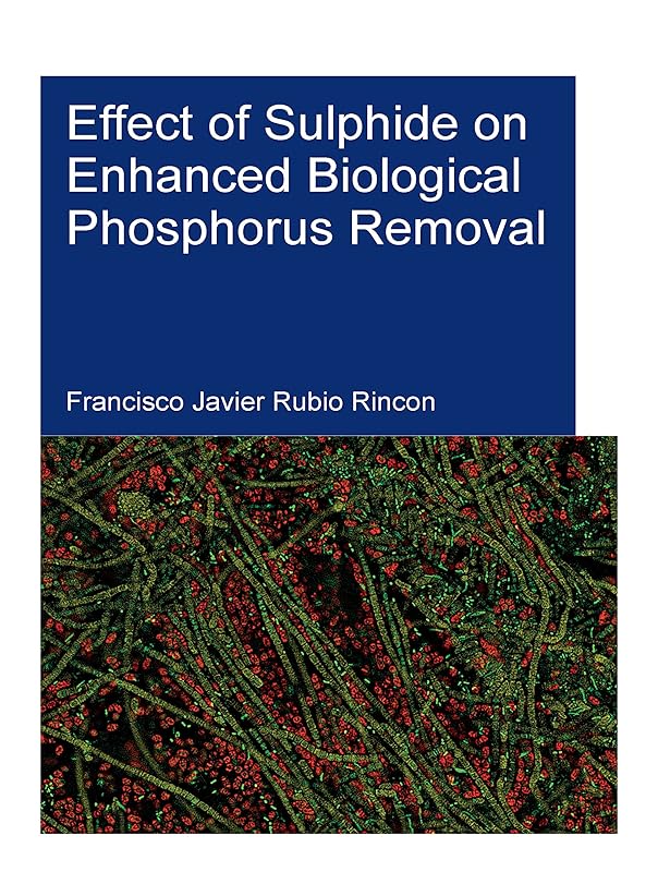 Effect of Sulphide on Enhanced Biological Phosphorus Removal (IHE Delft PhD Thesis Series) by Francisco Rubio Rincon