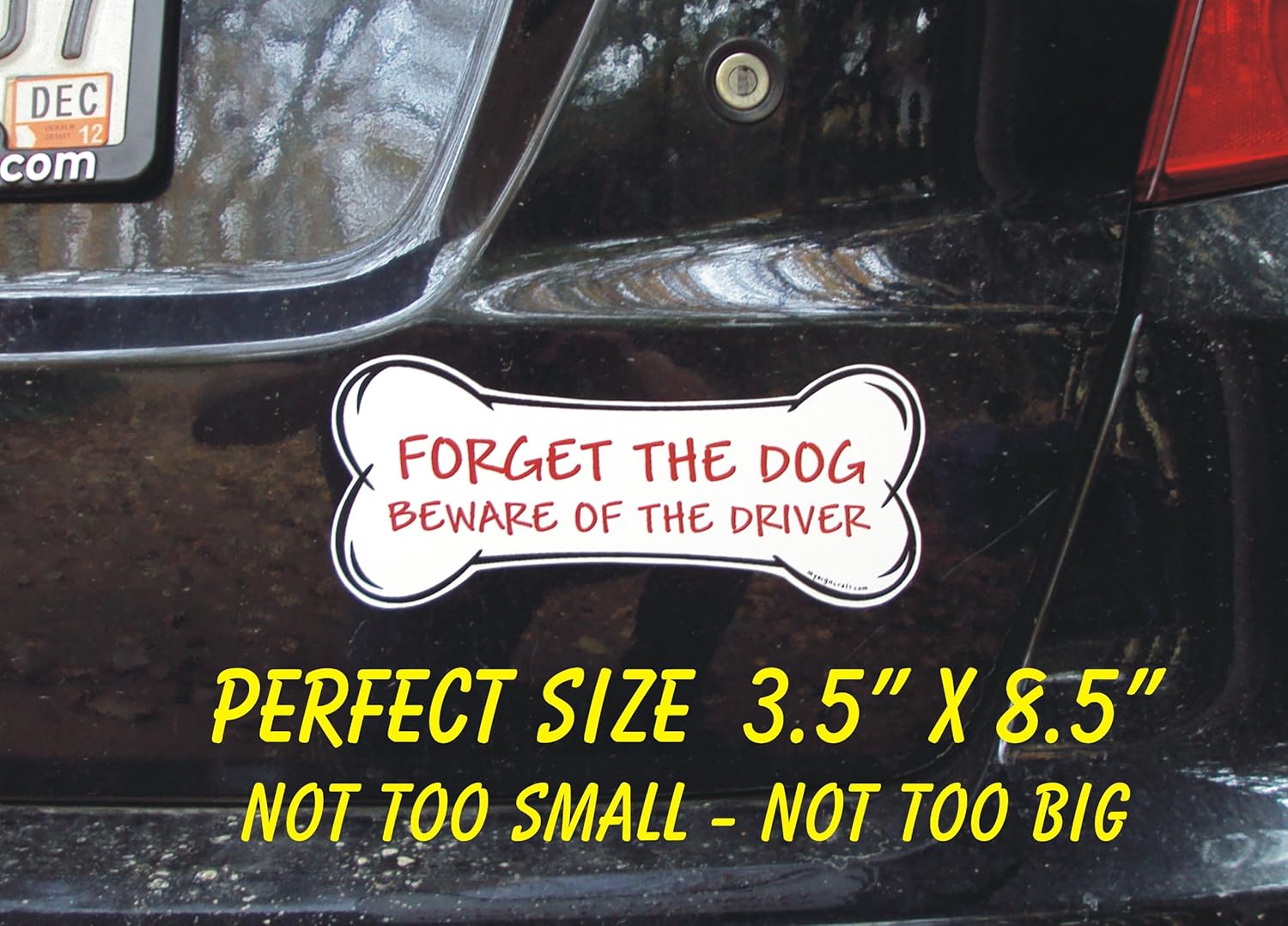 

Shih Tzu Taxi Service - magnetic bone sign
