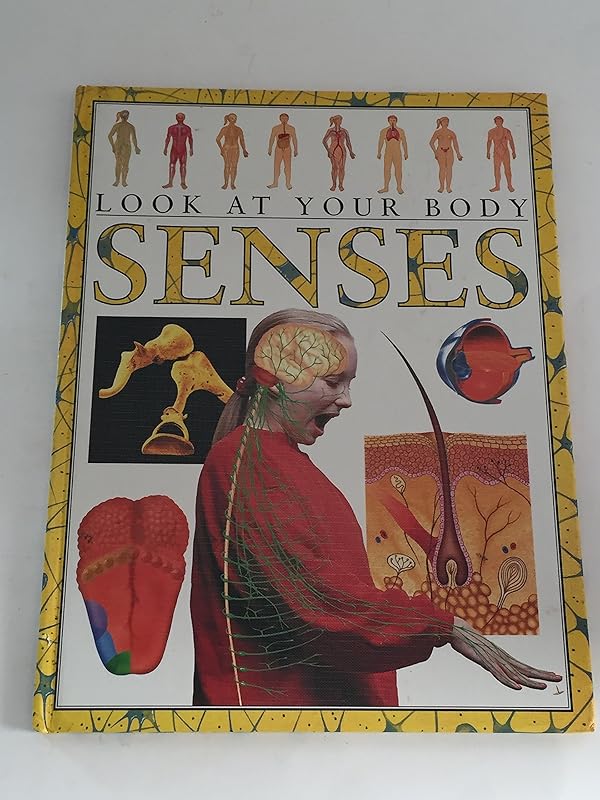 Senses (Look at Your Body) by Steve Parker