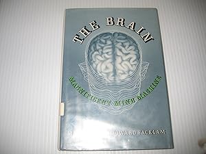 The Brain: Magnificent Mind Machine