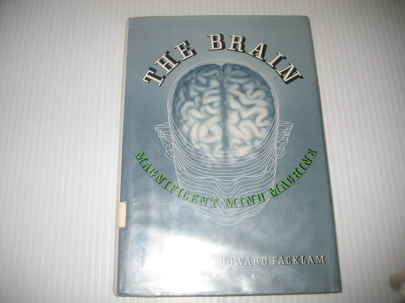 The Brain: Magnificent Mind Machine by Margery Facklam