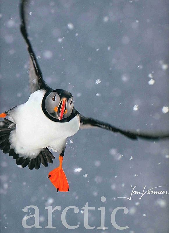 Arctic by Frieda Van Essen
