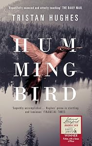 Hummingbird by Tristan Hughes
