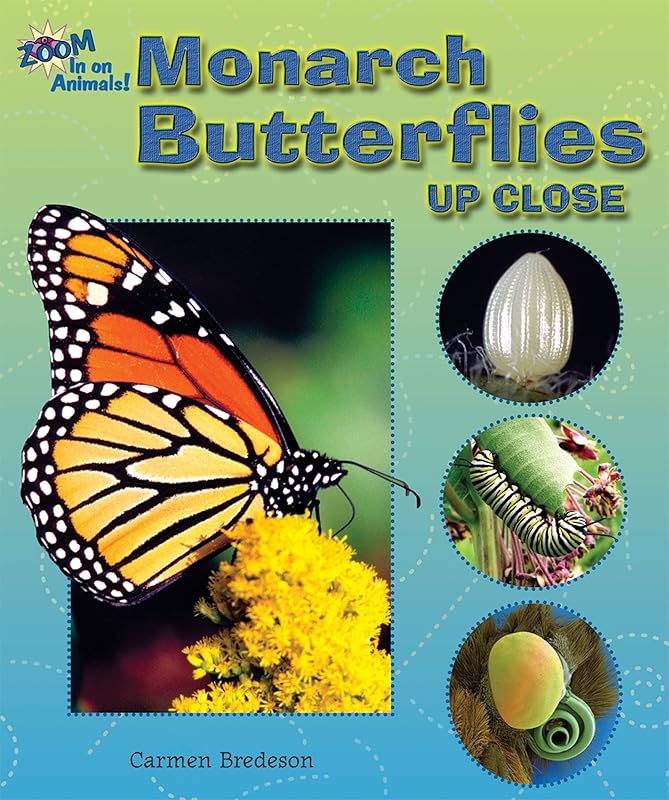 Monarch Butterflies Up Close (Zoom in on Animals!) by Carmen Bredeson