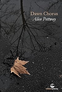 Dawn Chorus by Alice Pettway