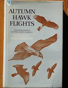 Autumn Hawk Flights: The Migrations in Eastern North America