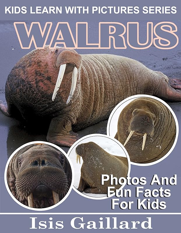 Walrus: Photos and Fun Facts for Kids (Kids Learn With Pictures Book 93) by Isis Gaillard