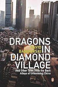 Dragons in Diamond Village And Other Tales from the Back Alleys of Urbanising China