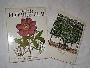The Besler Florilegium: Plants of the Four Seasons by Gerard G. Aymonin