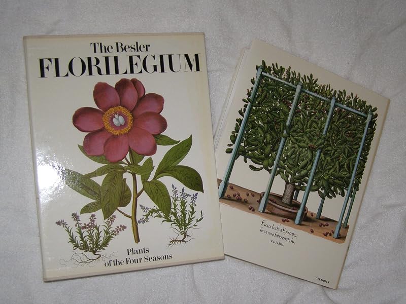 The Besler Florilegium: Plants of the Four Seasons by Gerard G. Aymonin