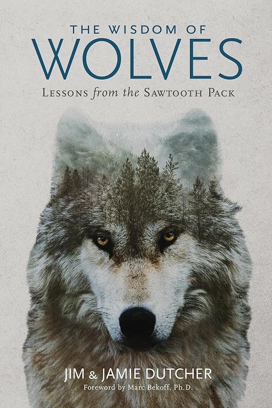 Wisdom of Wolves, The: Lessons From the Sawtooth Pack by Jim Dutcher