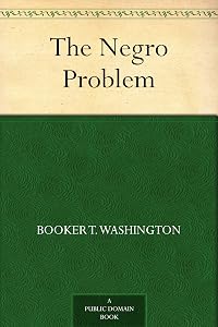 The Negro Problem