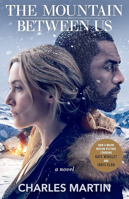 The Mountain Between Us: A Novel by Charles Martin
