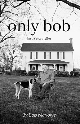 only bob: Just a Storyteller