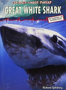Great White Shark (Animals Under Threat)