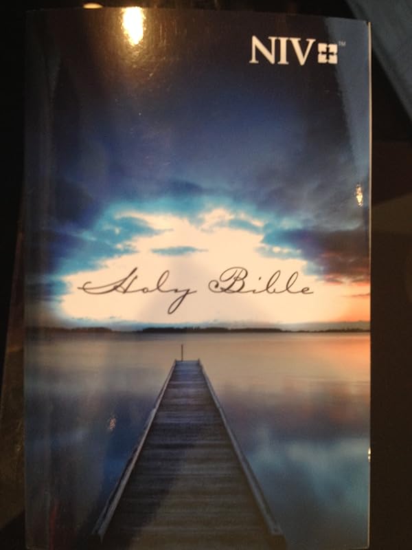Holy Bible: NIV: New International Version by Zondervan
