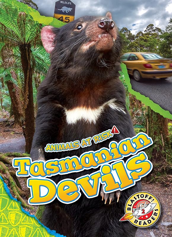 Tasmanian Devils (Animals at Risk) by Rachel Grack