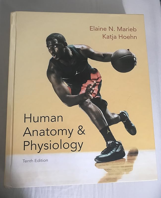 Human Anatomy & Physiology (Marieb, Human Anatomy & Physiology) Standalone Book by Elaine N. Marieb