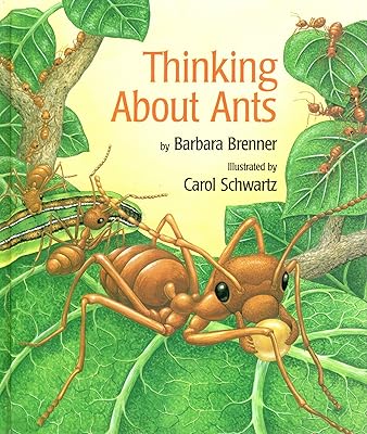 Thinking About Ants