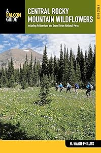 Central Rocky Mountain Wildflowers: Including Yellowstone And Grand Teton National Parks (Wildflower Series) by H. Wayne Phillips