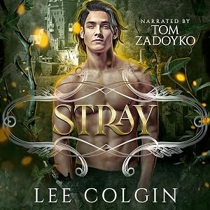 Stray: MM Paranormal Fantasy Romance (Outcast Mates) by Lee Colgin