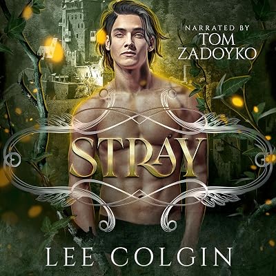 Stray: MM Paranormal Fantasy Romance (Outcast Mates)