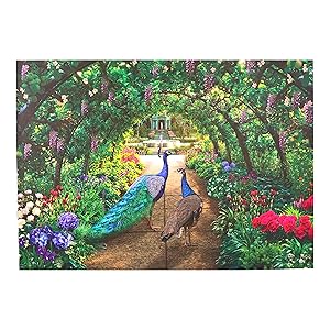 Peacock Pathway Puzzle | Jigsaw Puzzles for Adults 1000 Pieces | Puzzles for Adults, Teens, Kids, Family | 1000 Piece Puzzle for Adults by Page Publications