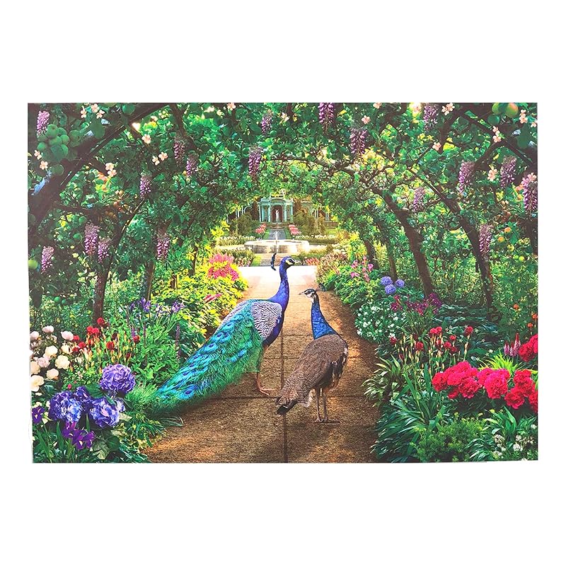 Peacock Pathway Puzzle | Jigsaw Puzzles for Adults 1000 Pieces | Puzzles for Adults, Teens, Kids, Family | 1000 Piece Puzzle for Adults by Page Publications by unknown author