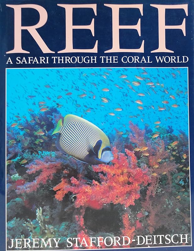 Reef: A Safari through the Coral World by Jeremy Stafford-Deitsch