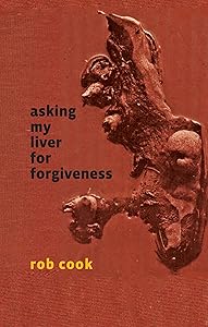 Asking My Liver for Forgiveness by Rob Cook