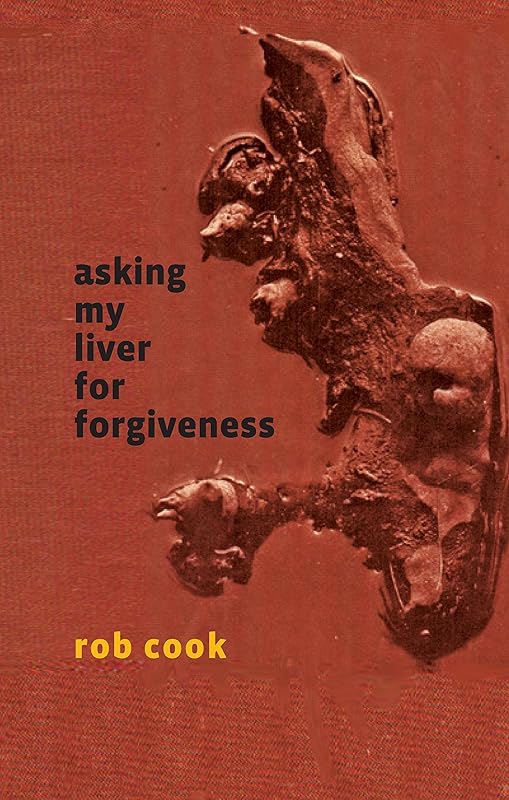 Asking My Liver for Forgiveness by Rob Cook