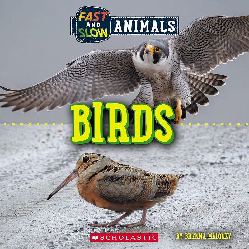Birds (Wild World: Fast and Slow Animals) by Brenna Maloney