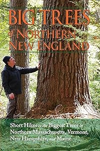 Big Trees of Northern New England