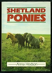 Shetland Ponies by Anna Hobson