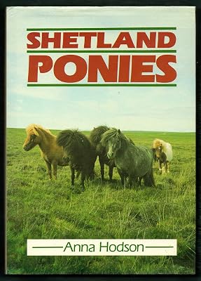 Shetland Ponies