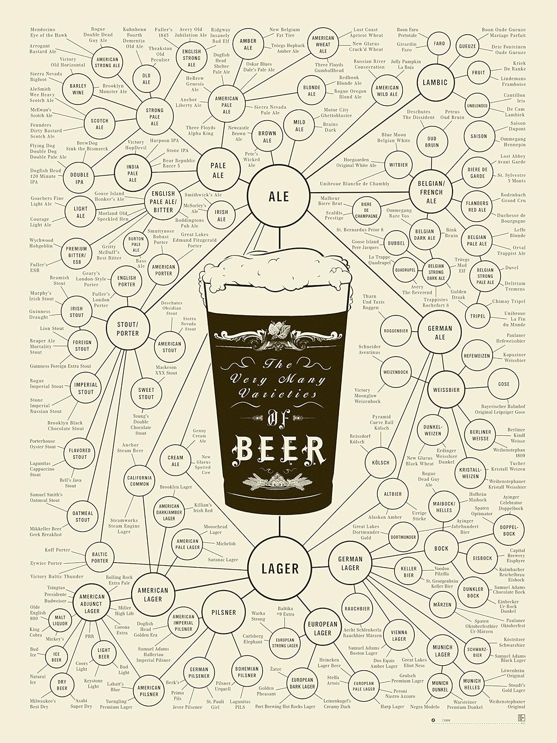 

The Very Many Varieties of Beer Poster (18 X 24) By Pop Chart Lab