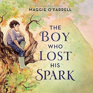The Boy Who Lost His Spark by Maggie O'Farrell