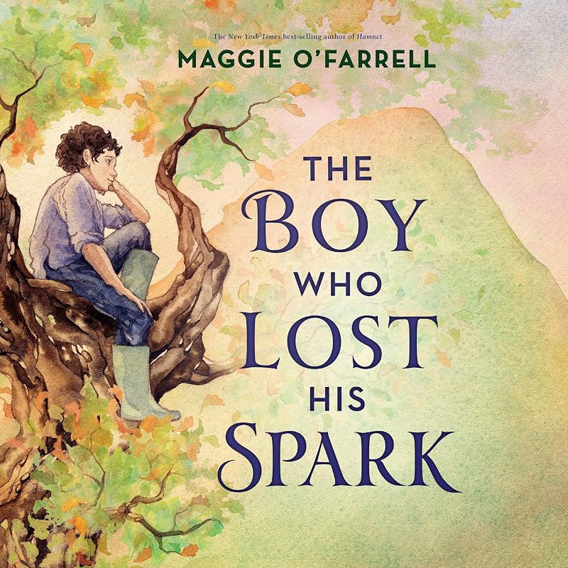 The Boy Who Lost His Spark by Maggie O'Farrell