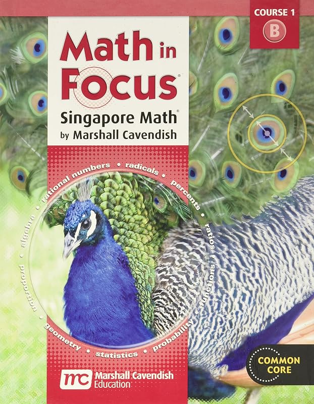 Student Edition 2012: Volume B (Math in Focus: Singapore Math) by Houghton Mifflin Harcourt