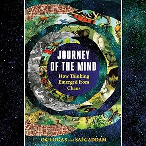 Journey of the Mind: How Thinking Emerged from Chaos by Ogi Ogas