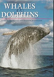 Whales and Dolphins: A Guide to the Biology and Behavior of Cetaceans by Maurizio Wurtz