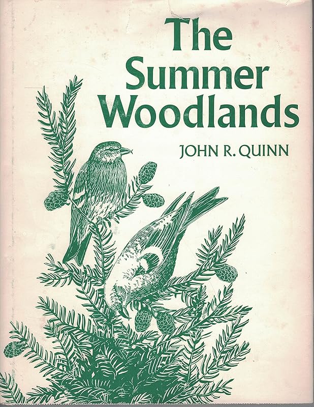 The Summer Woodlands by John R. Quinn