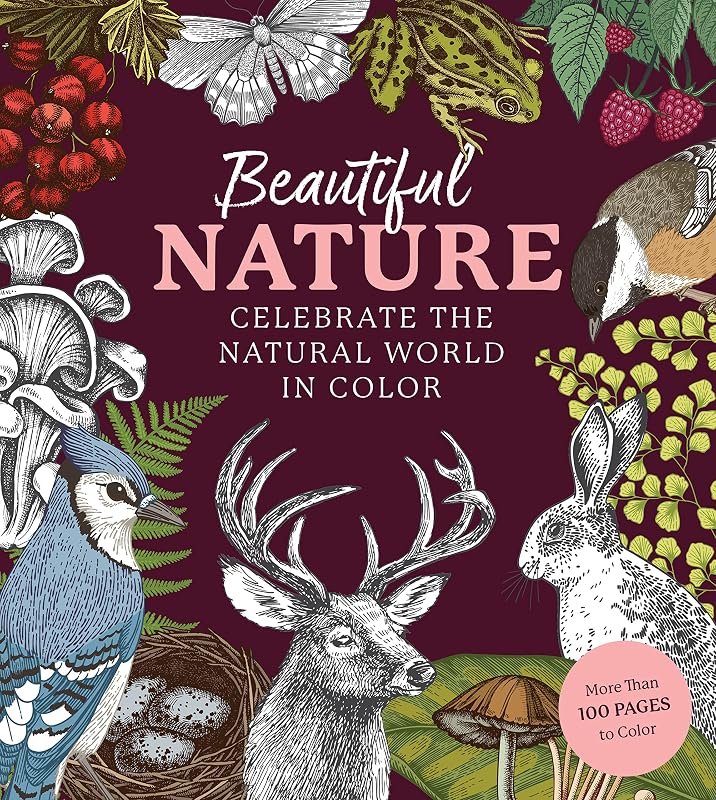 Beautiful Nature Coloring Book: A Coloring Book to Celebrate the Natural World - More Than 100 Pages to Color (Chartwell Coloring Books) by Editors of Chartwell Books