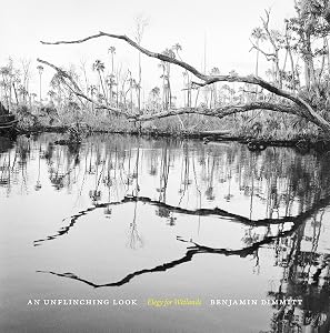 An Unflinching Look: Elegy for Wetlands (Wormsloe Foundation Nature Books) by Benjamin Dimmitt