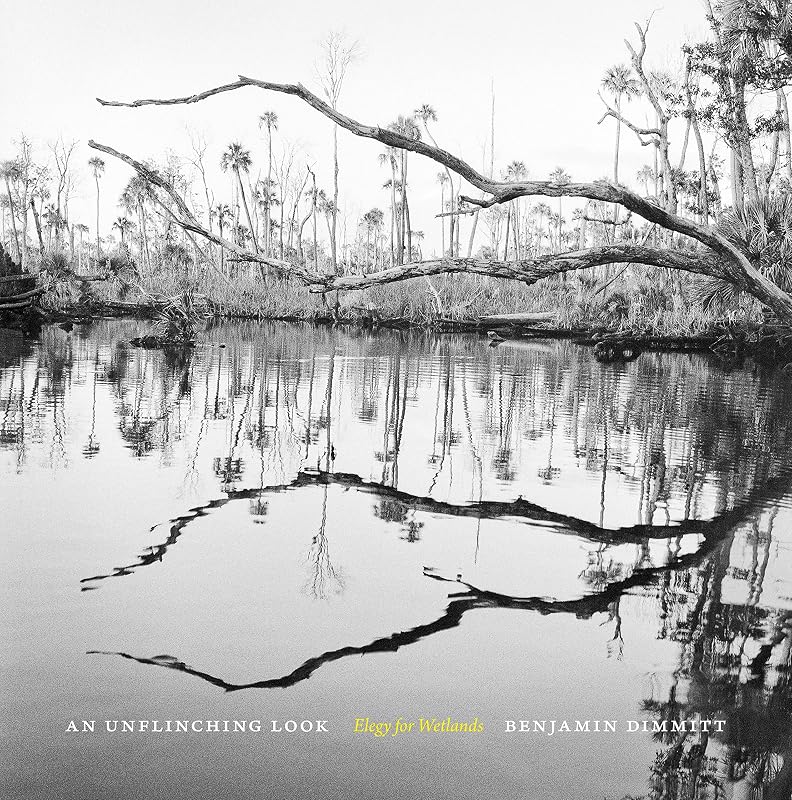 An Unflinching Look: Elegy for Wetlands (Wormsloe Foundation Nature Books) by Benjamin Dimmitt